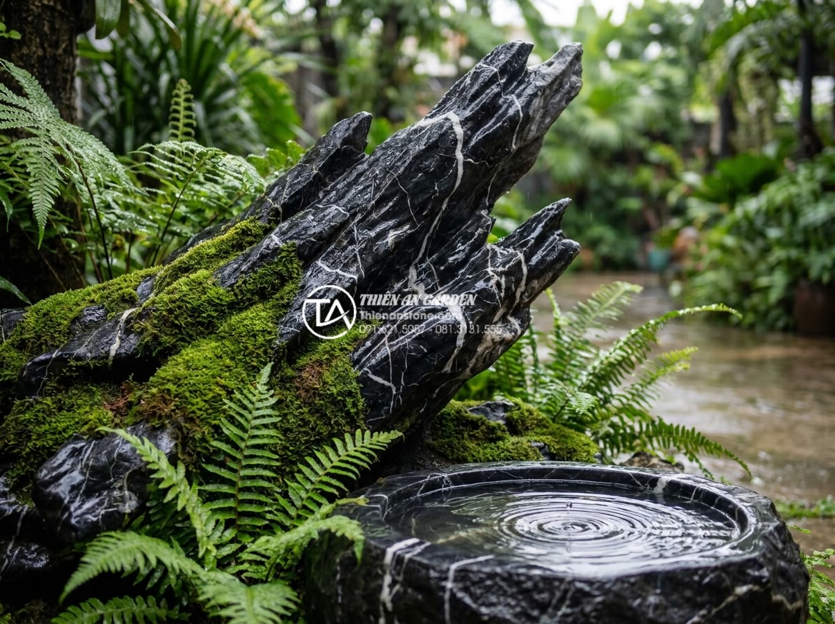 Tiểu Cảnh Sân Sau - Backyard garden after rain, water droplets on fern leaves, vibrant green moss on