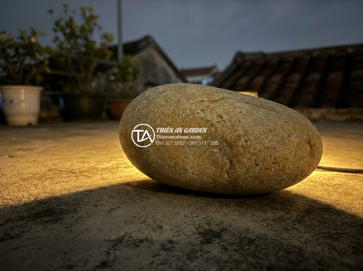 Tiểu Cảnh Sân Thượng - Close-up of natural stone texture illuminated by warm ground light at night on r