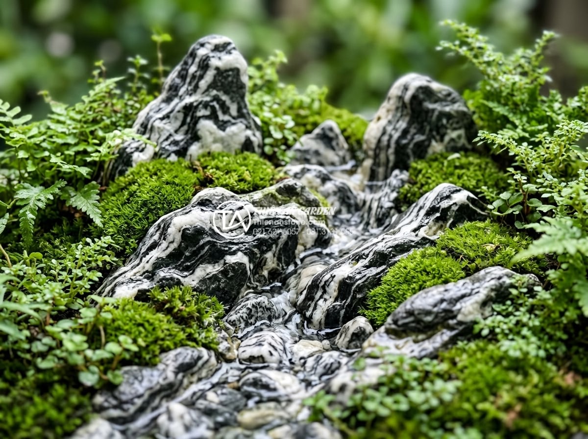 Tiểu Cảnh Sân Vườn - Hình 3 Tiểu Cảnh Sân Vườn - Close up detail shot of natural stone arrangement in a garden miniature landscap