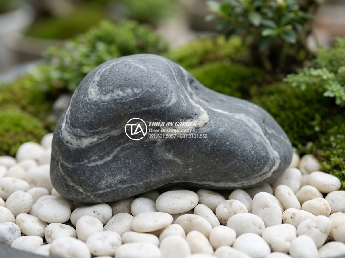 Tiểu Cảnh Sân Vườn - Hình 37 Tiểu Cảnh Sân Vườn - Detail shot of natural stone and pebble combination in garden miniature, large d