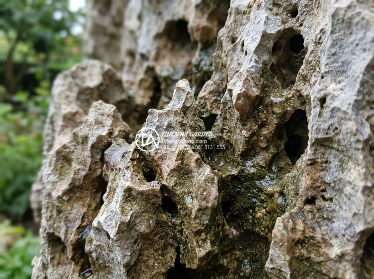 Tiểu Cảnh Vách Tường - Hình 5 Tiểu Cảnh Vách Tường - Extreme close-up of natural stone veins and textures on a wall-mounted garden fe