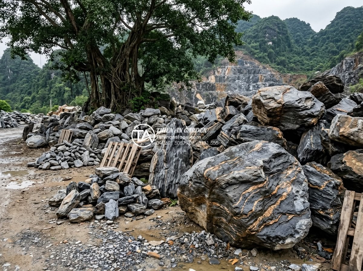Cách bố trí đá mồ côi tạo hang hốc tự nhiên dưới tán cây lớn - Hình 3 Cách bố trí đá mồ côi tạo hang hốc tự nhiên dưới tán cây lớn - High-resolution image of a professional stone selection area at a Vietnamese qua