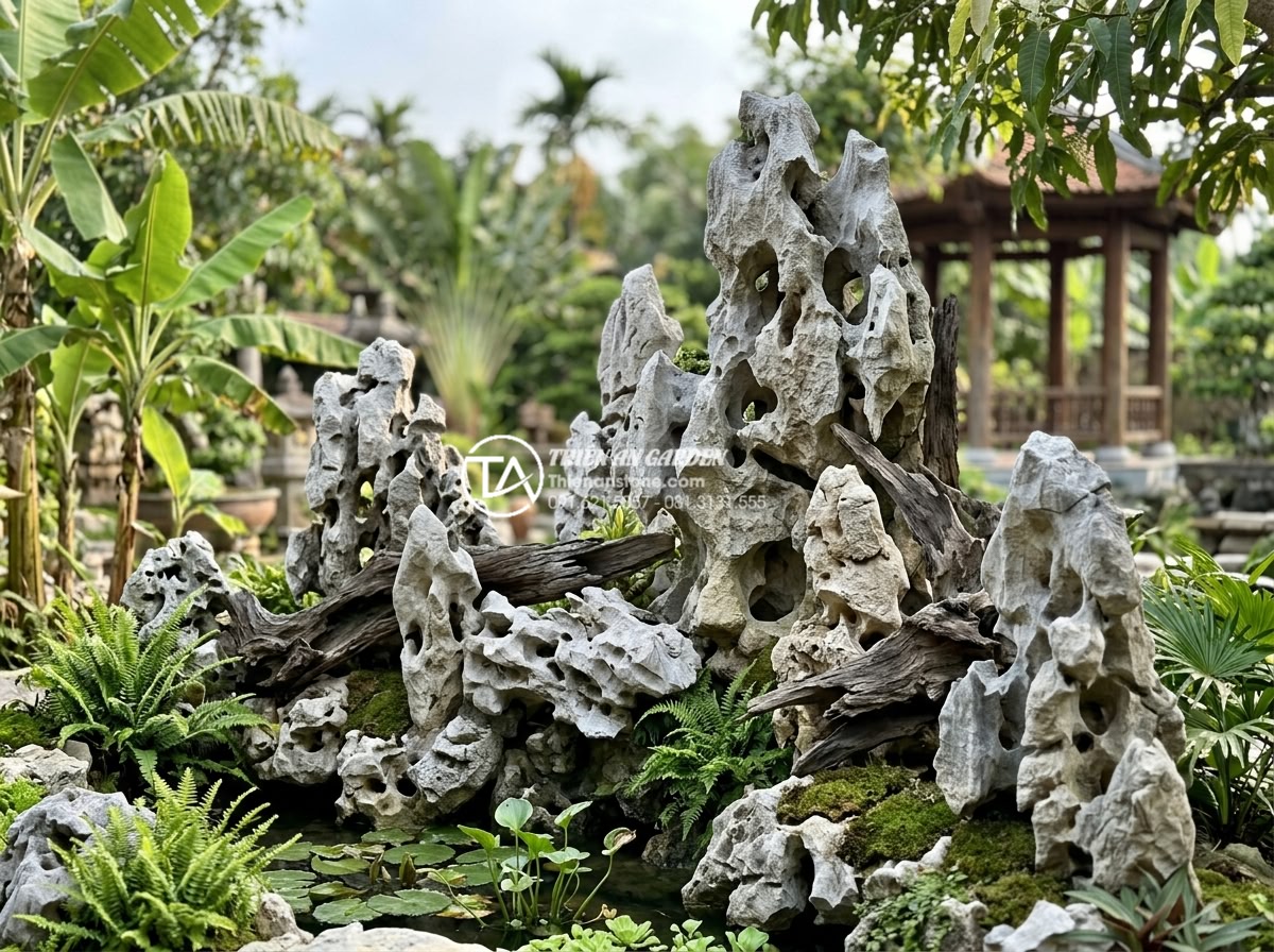 Cách xử lý gỗ lũa không bị mốc và mối mọt khi làm tiểu cảnh - Hình 22 Cách xử lý gỗ lũa không bị mốc và mối mọt khi làm tiểu cảnh - Team of Đá Cảnh Thiên An experts proudly standing beside completed high-end drif