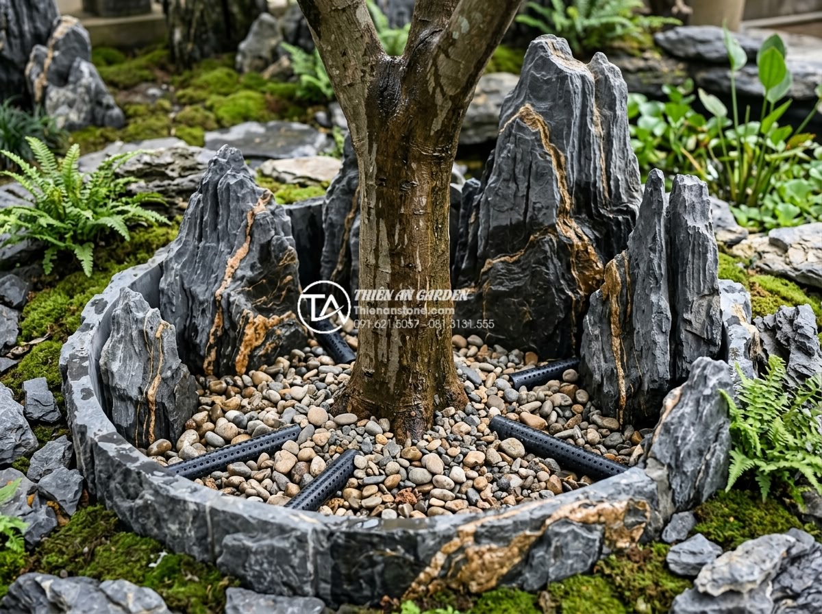 Hướng dẫn xử lý hệ thống thoát nước cho tiểu cảnh bồn gốc cây - Hình 1 Hướng dẫn xử lý hệ thống thoát nước cho tiểu cảnh bồn gốc cây - Close-up view of a well-designed tree base basin with visible drainage pipes and