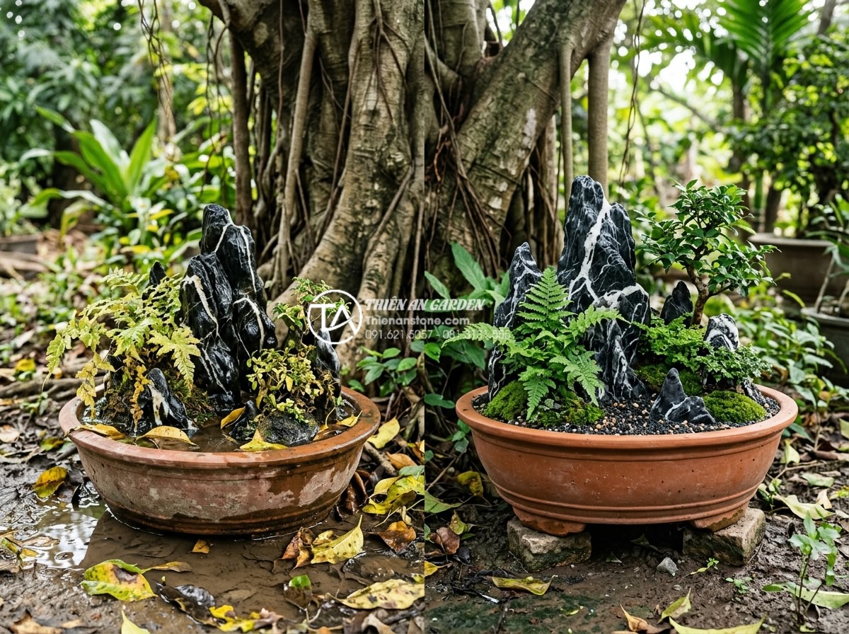Hướng dẫn xử lý hệ thống thoát nước cho tiểu cảnh bồn gốc cây - Hình 4 Hướng dẫn xử lý hệ thống thoát nước cho tiểu cảnh bồn gốc cây - Realistic photo of waterlogged miniature garden at tree base with yellowing leav
