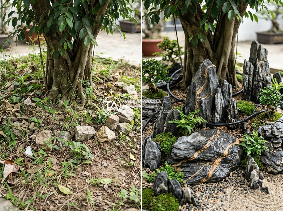 Lắp đặt hệ thống tưới nhỏ giọt cho tiểu cảnh dưới gốc cây: Hiệu quả và thẩm mỹ - Hình 18 Lắp đặt hệ thống tưới nhỏ giọt cho tiểu cảnh dưới gốc cây: Hiệu quả và thẩm mỹ - Before and after images of under-tree mini landscape transformation using profes