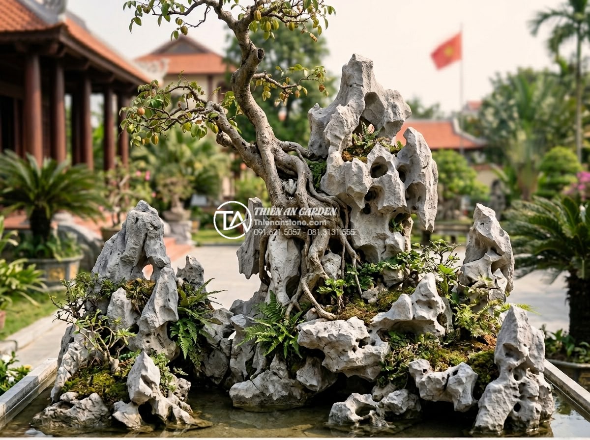 Mẫu tiểu cảnh dưới gốc cây khế: Biến gốc cây già thành tác phẩm nghệ thuật - Hình 10 Mẫu tiểu cảnh dưới gốc cây khế: Biến gốc cây già thành tác phẩm nghệ thuật - Professional team photo of Đá Cảnh Thiên An experts standing proudly beside a be