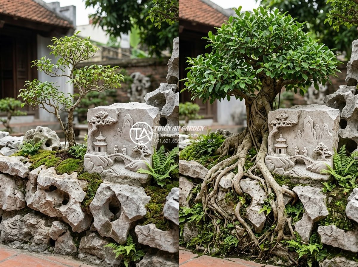 Mẫu tiểu cảnh gốc cây kết hợp tranh đá ốp tường độc đáo - Professional before and after comparison photograph of a tree root and stone wal