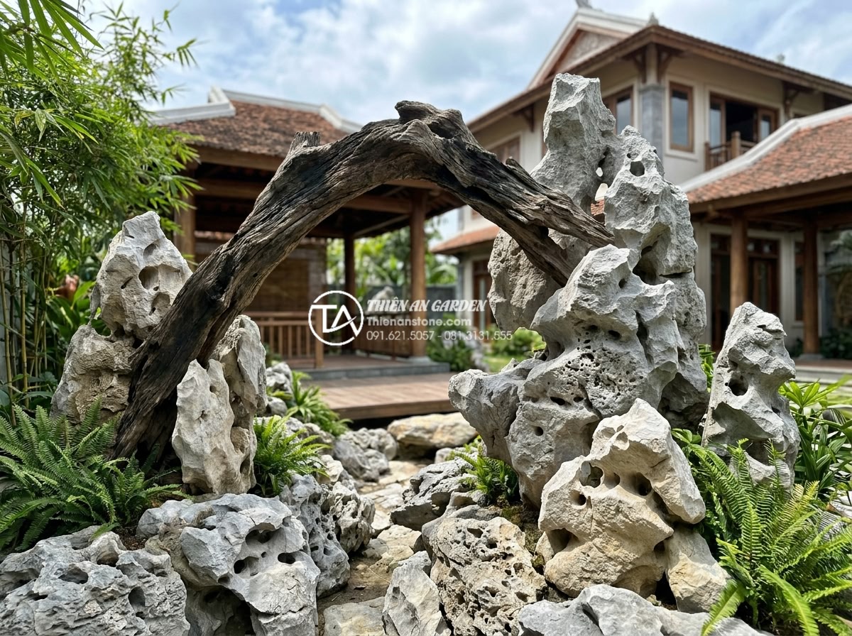 Top 5 loại cây trồng kèm tiểu cảnh gỗ lũa bền và dễ chăm sóc - Hình 12 Top 5 loại cây trồng kèm tiểu cảnh gỗ lũa bền và dễ chăm sóc - Professional team from Thien An Stone company installing a large custom driftwoo