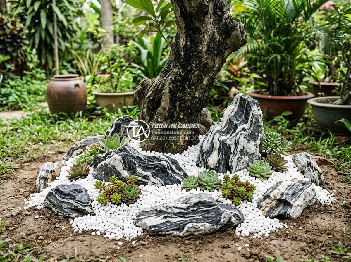 Ý tưởng trang trí gốc cây lộc vừng bằng đá tuyết sơn sang trọng - Hình 9 Ý tưởng trang trí gốc cây lộc vừng bằng đá tuyết sơn sang trọng - DIY budget-friendly dry rockery around lộc vừng tree base using affordable Snow