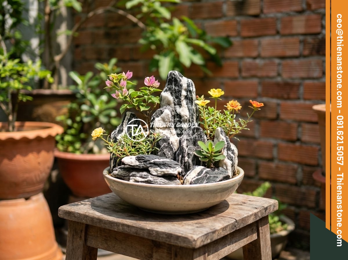 Bí quyết giữ độ ẩm cho cây trong tiểu cảnh góc sân vào mùa hè nắng nóng - Selection of native Vietnamese plants thriving in dry heat within a small artist