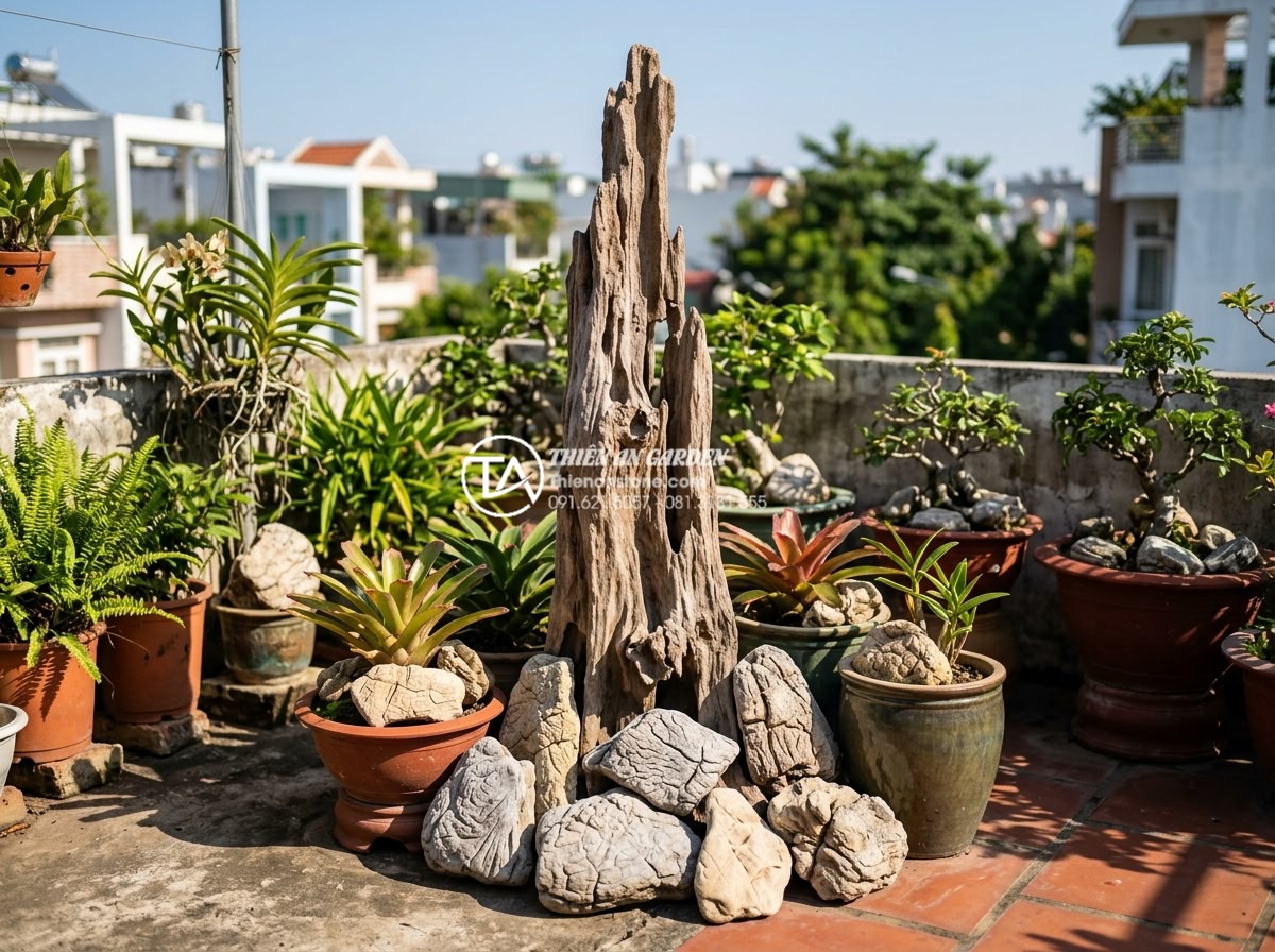 Nghệ thuật sử dụng gỗ lũa trong trang trí tiểu cảnh sân thượng hiện đại - Natural driftwood piece standing vertically in a sunny rooftop setting surrounde