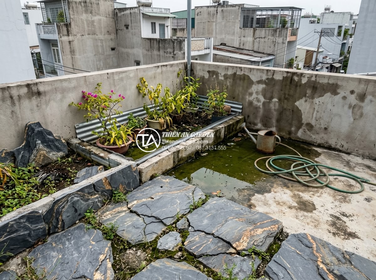 So sánh chi phí tự làm và thuê dịch vụ thi công tiểu cảnh sân thượng - Common DIY rooftop garden failures showing water damage, cracked stones, and poo