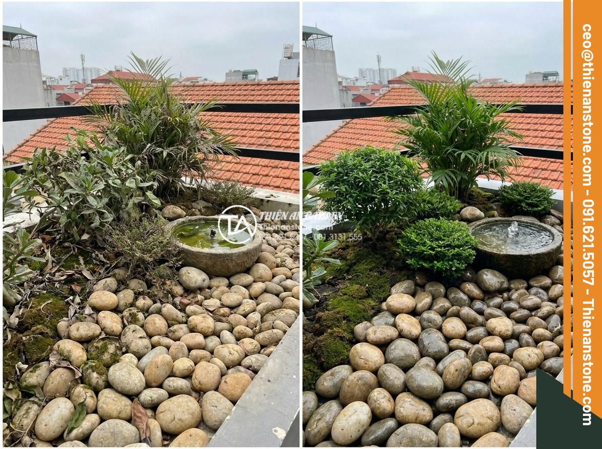 Thiết kế tiểu cảnh sân thượng nhỏ mini cho nhà phố diện tích hẹp - Before and after maintenance of a compact rooftop mini landscape with polished s