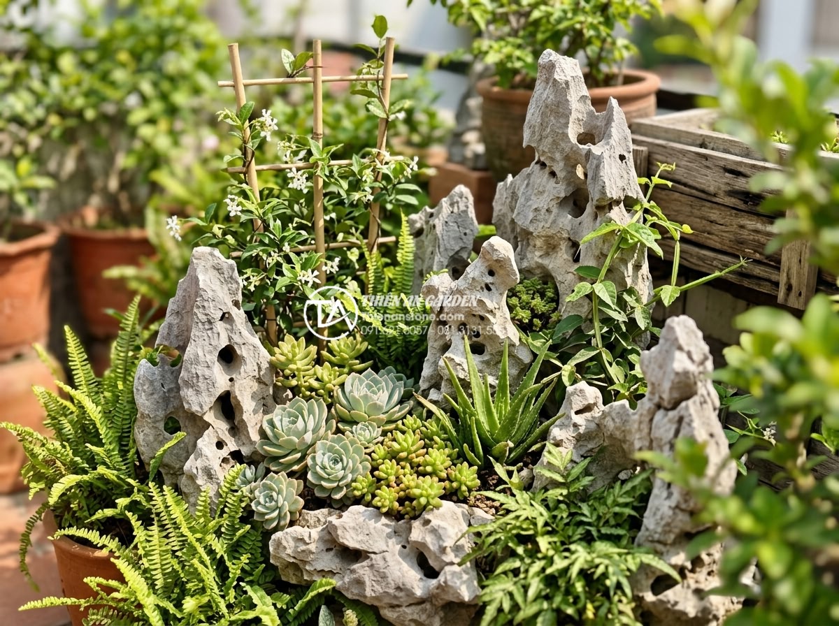 Tiểu cảnh sân thượng xanh: Giải pháp hạ nhiệt cực đỉnh cho nhà phố mùa hè - Hình 5 Tiểu cảnh sân thượng xanh: Giải pháp hạ nhiệt cực đỉnh cho nhà phố mùa hè - Variety of heat-resistant rooftop plants including succulents, ferns, and climbi