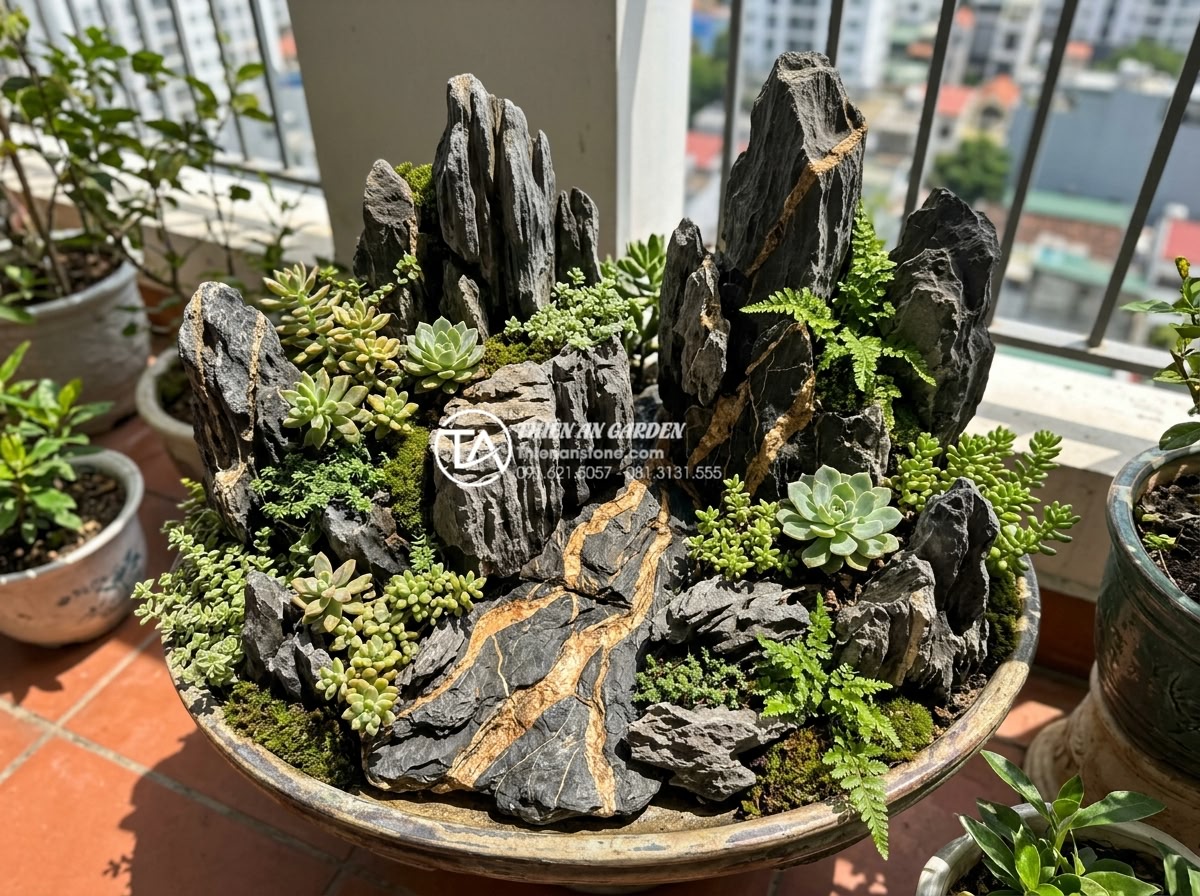 Top 10 loại cây chịu nắng cực tốt phù hợp với tiểu cảnh đá ban công - Close-up aerial view of detailed stone miniature garden on balcony featuring tex