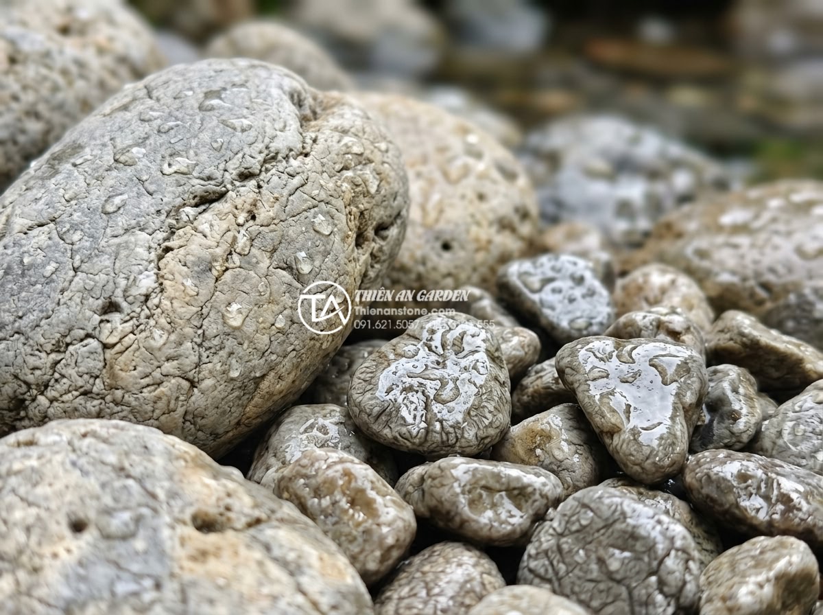 Xu hướng sử dụng sỏi quay và đá cuội trong trang trí ban công 2026 - High detail macro photograph of shiny polished gravel stones next to larger natu