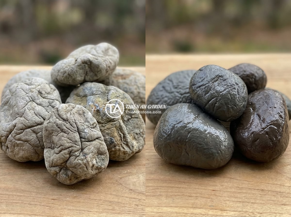Checklist 8 Tiêu Chí Chọn Đá Da Voi Thủy Sinh Chất Lượng Trước Khi Mua - Comparison of high quality and low quality elephant skin stones showing color di