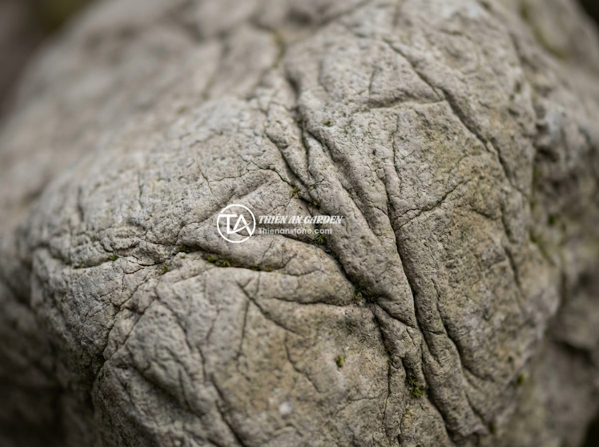 Checklist 8 Tiêu Chí Chọn Đá Da Voi Thủy Sinh Chất Lượng Trước Khi Mua - Macro photography of elephant skin stone surface texture showing deep natural wr