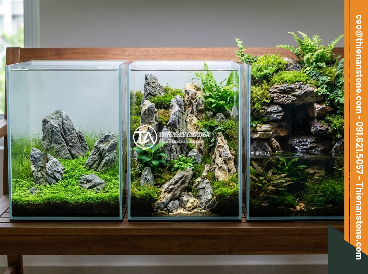 Đá Da Voi Thủy Sinh Là Gì? Đặc Tính Và Cách Ứng Dụng Trong Bể Cá Cảnh, Aquascape - Three different aquascape layout styles using elephant skin stone side by side c