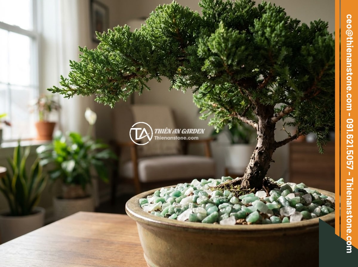 Đá Thạch Anh Vụn Hợp Mệnh Thủy Mộc Không? Tác Dụng Tăng Vận Khí Gia Đình - Hình 4 Đá Thạch Anh Vụn Hợp Mệnh Thủy Mộc Không? Tác Dụng Tăng Vận Khí Gia Đình - Green aventurine crushed quartz stones artistically placed around the base of a