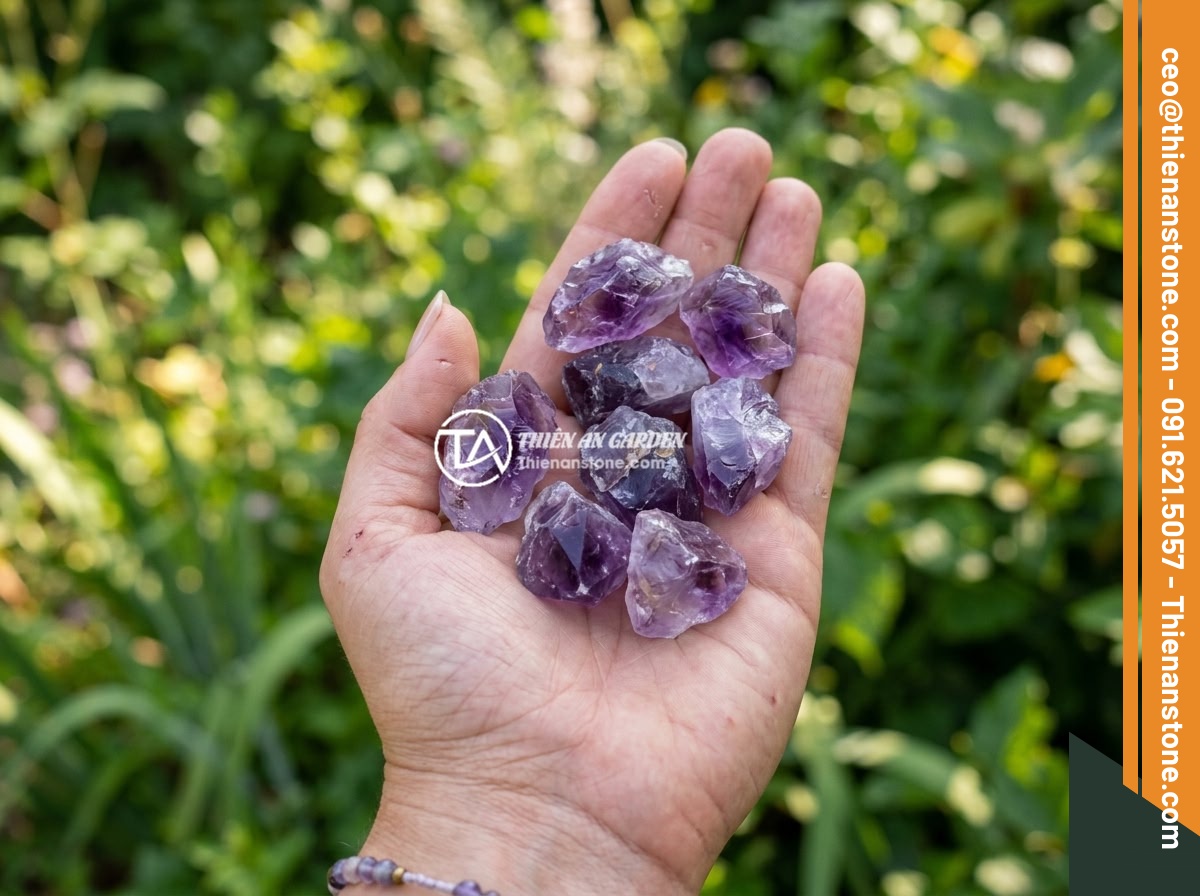 Đá thạch anh vụn tím - Hình 3 Đá thạch anh vụn tím - A person's hand holding several pieces of crushed purple amethyst quartz, showin