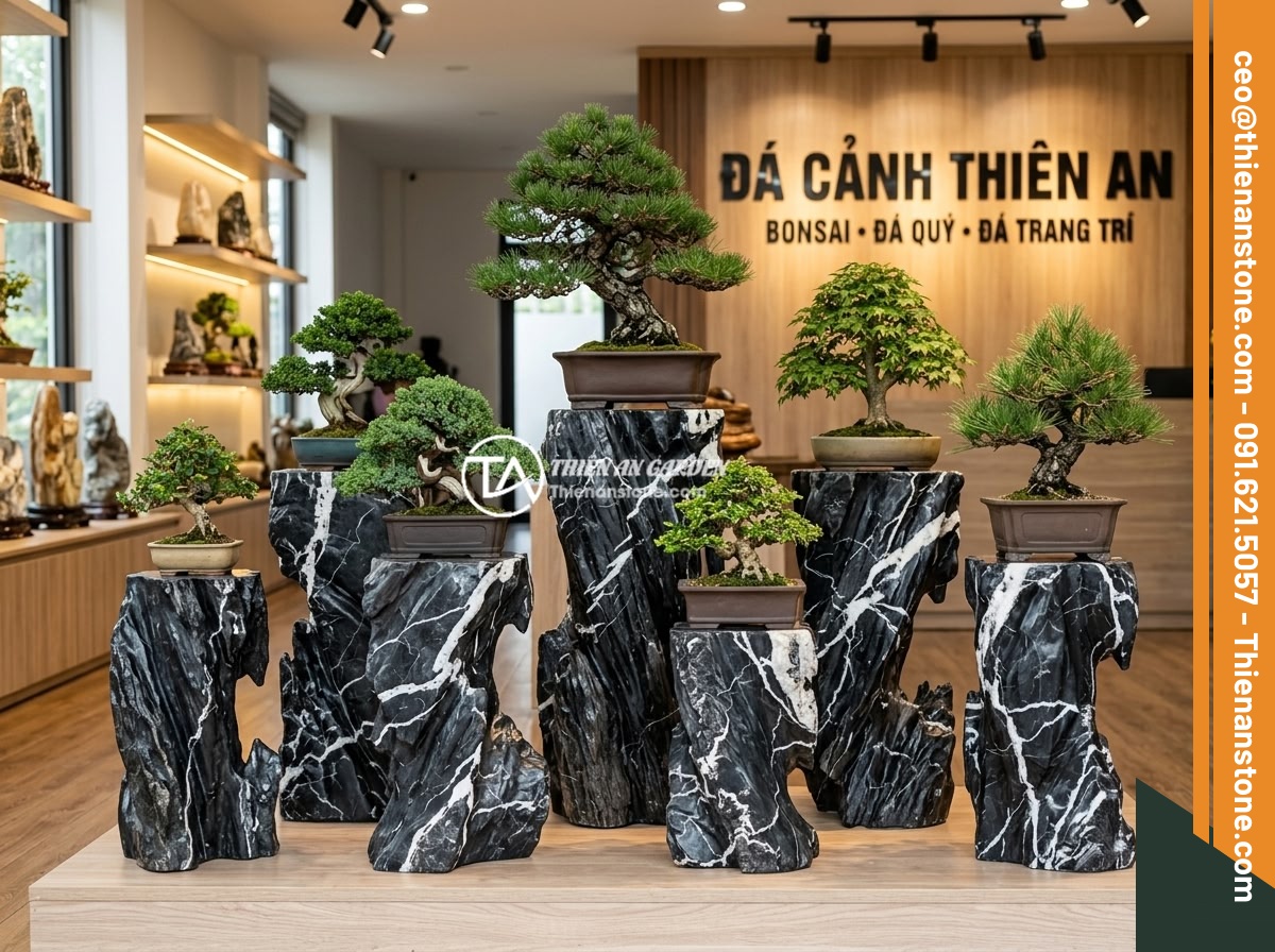 Đôn kê cây đá lũa đen - Hình 13 Đôn kê cây đá lũa đen - Elegant showroom display of multiple black driftwood stone pedestals of various