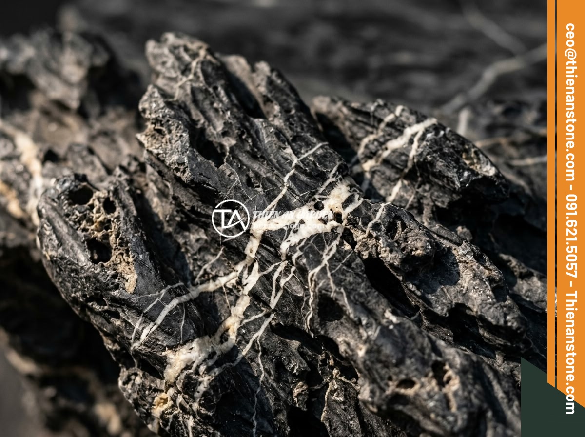 Đôn kê cây đá lũa đen - Hình 3 Đôn kê cây đá lũa đen - Close-up macro shot of a black driftwood stone pedestal surface showing intricat