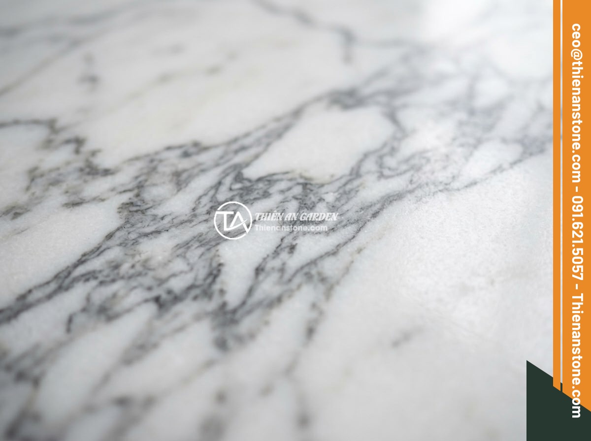 Lục bình đá cẩm thạch trắng - Hình 2 Lục bình đá cẩm thạch trắng - Close-up detail shot of white marble surface showing natural grey veining patter