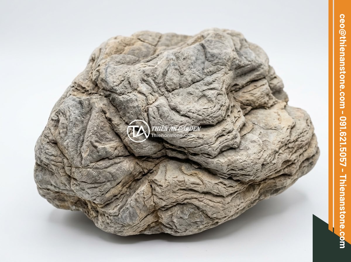 Xu Hướng Aquascape 2026: Đá Da Voi Vẫn Giữ Vị Trí Hàng Đầu Trong Layout Tự Nhiên? - Close-up photo of elephant skin stone (da voi stone) showing detailed layered te