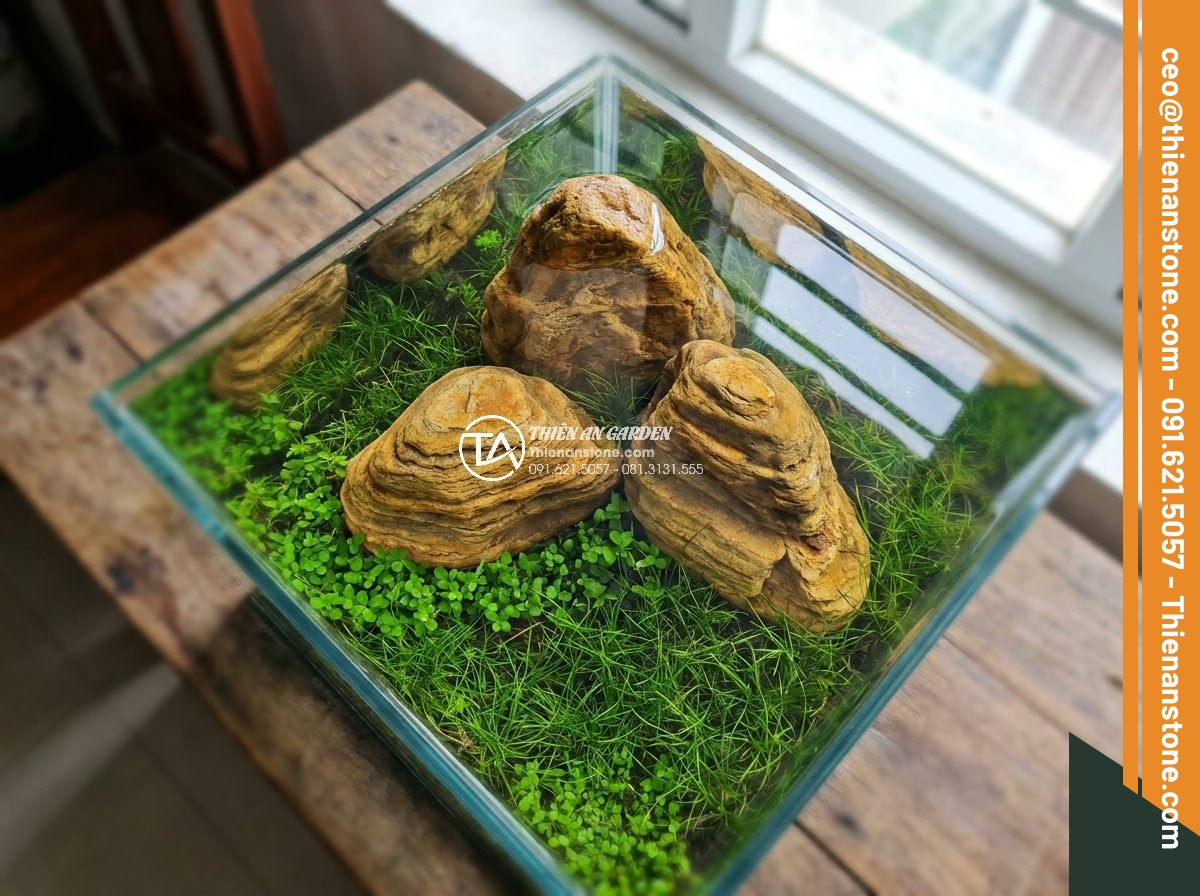 Cách Làm Bể Thủy Sinh Mini Đá Cuội Đẹp Dành Cho Người Mới - Hình 9 Cách Làm Bể Thủy Sinh Mini Đá Cuội Đẹp Dành Cho Người Mới - Artistic top down view of perfectly arranged mini Iwagumi style pebble aquarium,