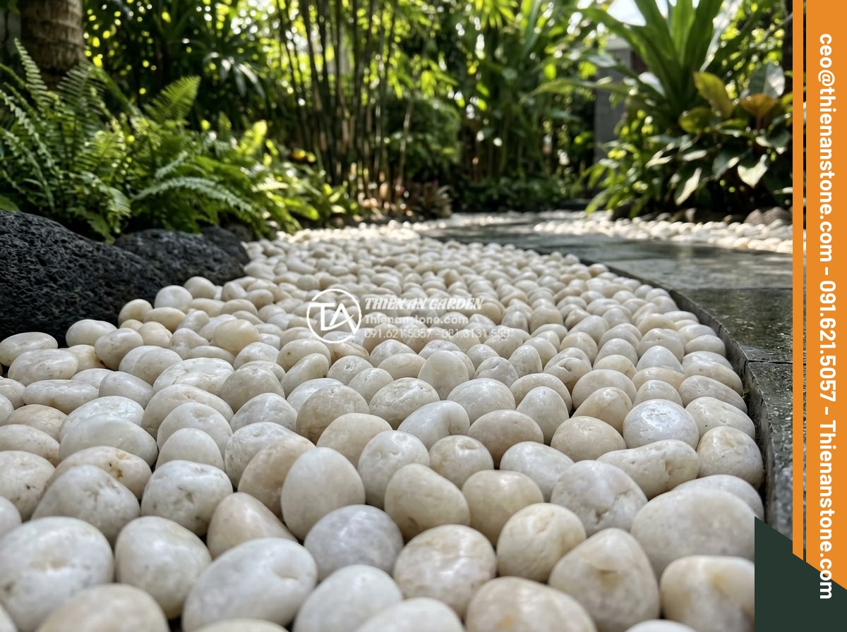 Cách Phối Màu Sỏi Rải Sân Vườn Theo Phong Thủy Bản Mệnh - Close-up view of beautifully arranged garden pebbles in various natural colors c