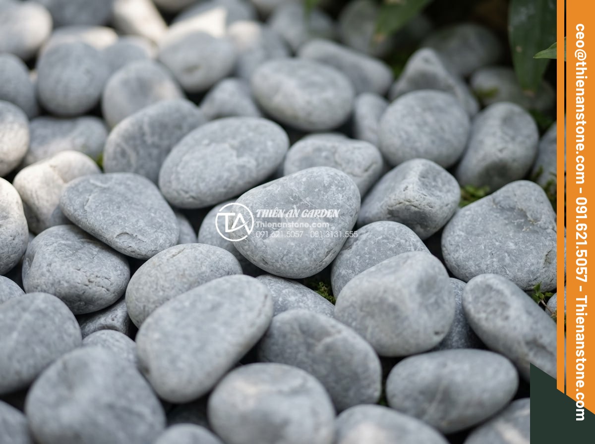 Cách Phối Màu Sỏi Rải Sân Vườn Theo Phong Thủy Bản Mệnh - Detailed close-up of white garden pebbles mixed with gray stones creating luxuri
