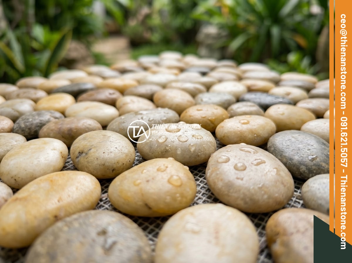 Gạch Sỏi Lát Sân Vườn: Giải Pháp Chống Trơn Trượt Và Thẩm Mỹ Cao - Hình 2 Gạch Sỏi Lát Sân Vườn: Giải Pháp Chống Trơn Trượt Và Thẩm Mỹ Cao - Close-up macro photography of natural river pebble tiles for outdoor garden pavi