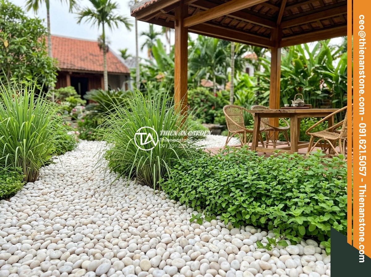 Hỏi Đáp: Rải Sỏi Sân Vườn Có Bị Muỗi Và Côn Trùng Trú Ngụ? - High-resolution photo of a well-maintained gravel garden with integrated pest co