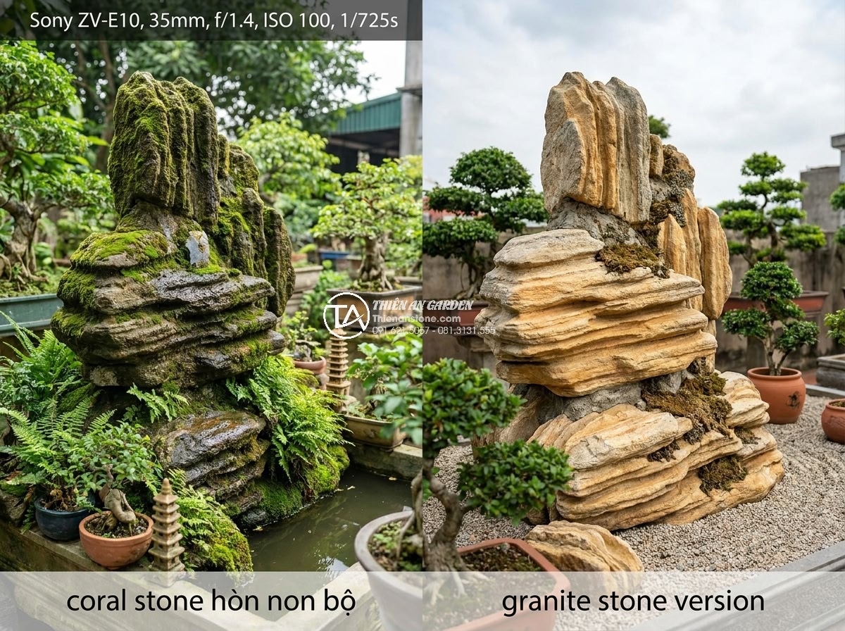 Hòn Non Bộ Bằng Đá San Hô: Kỹ Thuật Đục Đẽo Và Nuôi Rêu - Side-by-side comparison image of coral stone hòn non bộ versus granite stone ver
