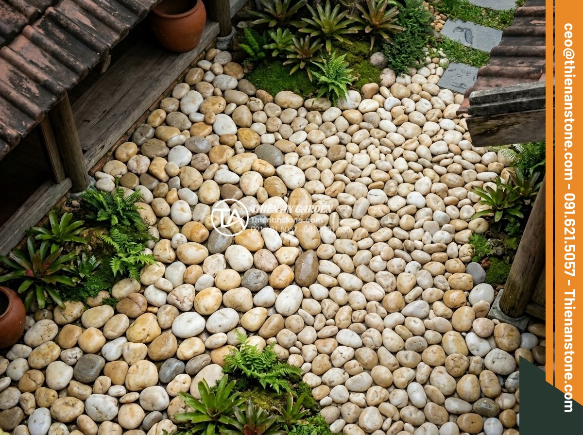 Kỹ Thuật Kết Hợp Đá Cuội Lớn Và Sỏi Rải Sân Vườn Cực Đẹp - Close-up aerial perspective of large river pebbles combined with decorative grav