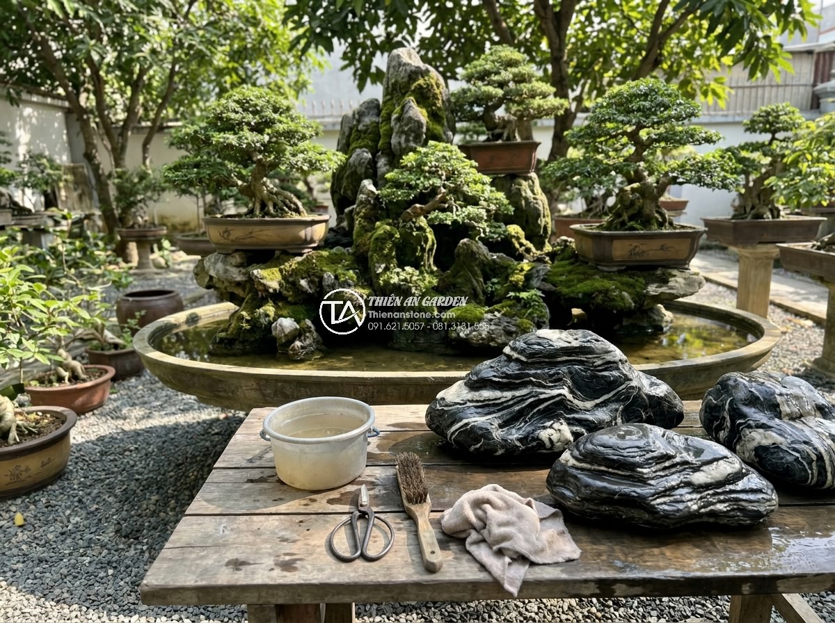 Kỹ Thuật Kết Hợp Đá Tuyết Sơn Và Cây Cảnh Trong Non Bộ - Hình 13 Kỹ Thuật Kết Hợp Đá Tuyết Sơn Và Cây Cảnh Trong Non Bộ - Maintenance process photo of gardener pruning bonsai trees and cleaning Tuyet So