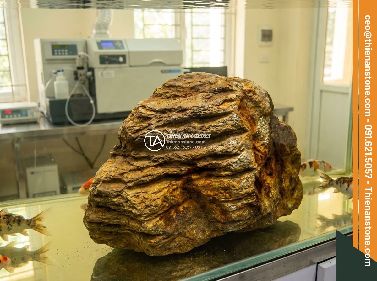 Những Loại Đá KHÔNG NÊN Bỏ Vào Hồ Cá Koi (Cực Kỳ Nguy Hiểm) - High resolution image of raw granite boulder with visible iron oxide stains and 