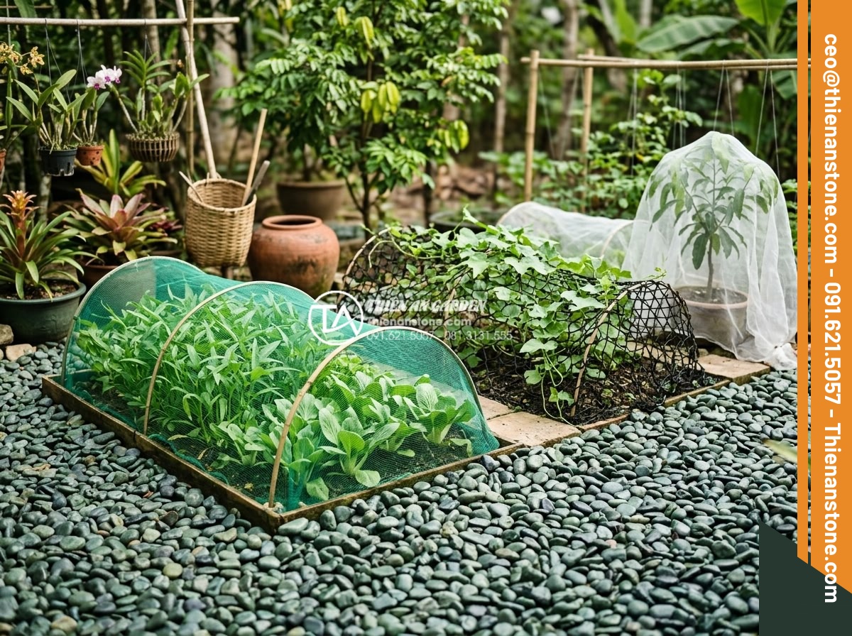 Review Các Loại Lưới Chắn Cỏ Khi Thi Công Sỏi Sân Vườn - Long-term effectiveness demonstration in various garden styles using different n
