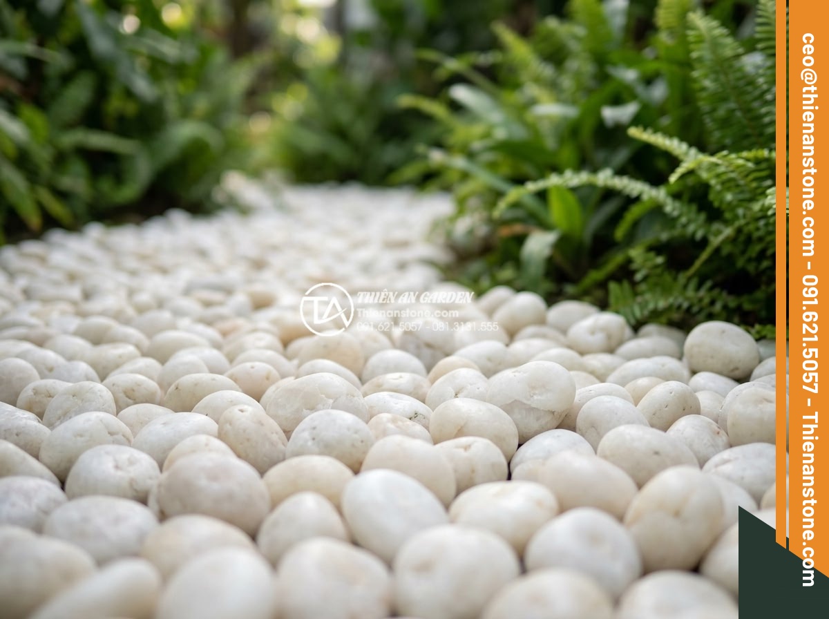 Sỏi Biển Trang Trí: Ưu Điểm Và Ứng Dụng Trong Tiểu Cảnh - Hình 1 Sỏi Biển Trang Trí: Ưu Điểm Và Ứng Dụng Trong Tiểu Cảnh - Close-up view of polished sea pebbles in various natural colors like white, gray