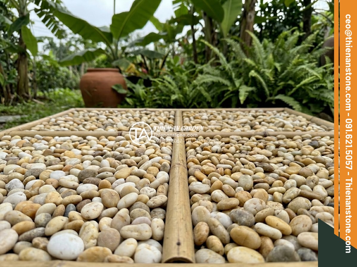 Sỏi Biển Trang Trí: Ưu Điểm Và Ứng Dụng Trong Tiểu Cảnh - Hình 15 Sỏi Biển Trang Trí: Ưu Điểm Và Ứng Dụng Trong Tiểu Cảnh - Side-by-side comparison of sea pebbles versus river pebbles and granite stones f