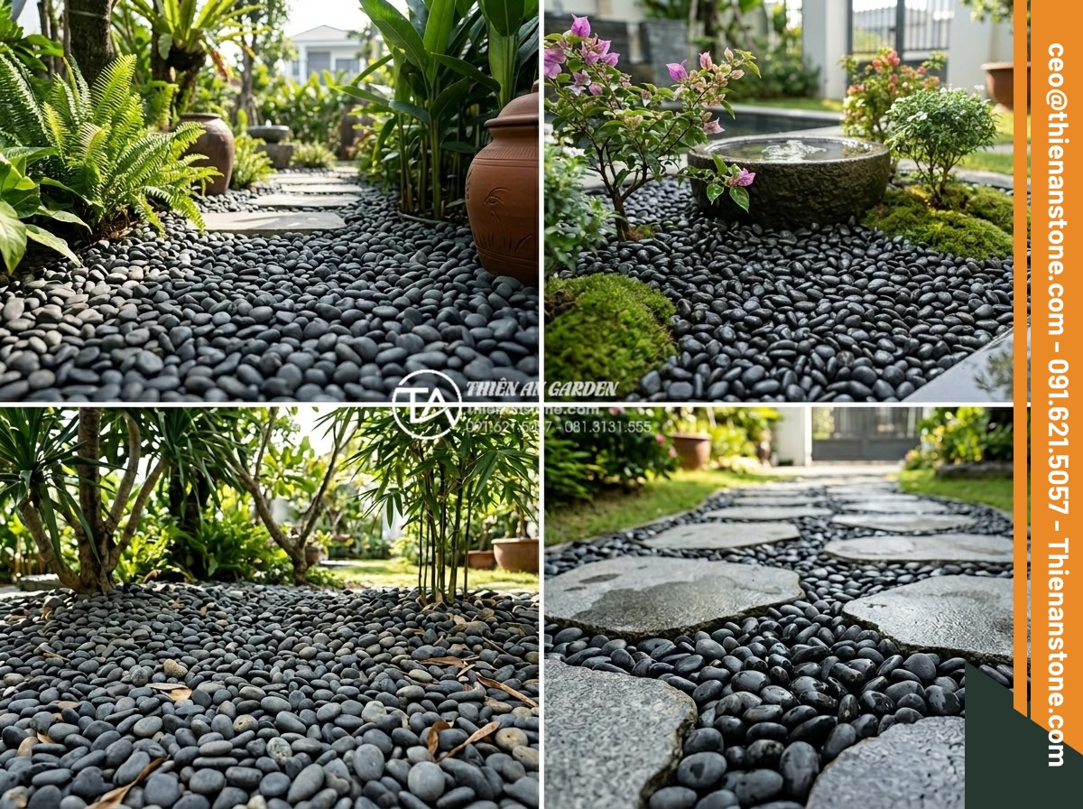 Sỏi Cuội Trang Trí Sân Vườn: Vẻ Đẹp Tự Nhiên Từ Những Viên Đá Cuội - Professional comparison chart visualization showing four different garden stone 
