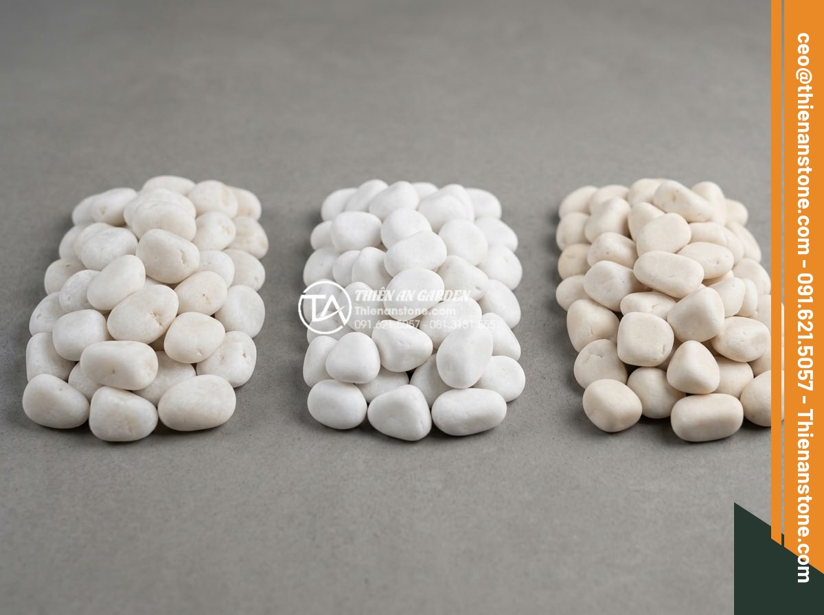 Sỏi Trắng Sân Vườn: Bí Quyết Tạo Không Gian Sang Trọng Và Tinh Tế - Side-by-side comparison studio shot of three different white gravel types for ga