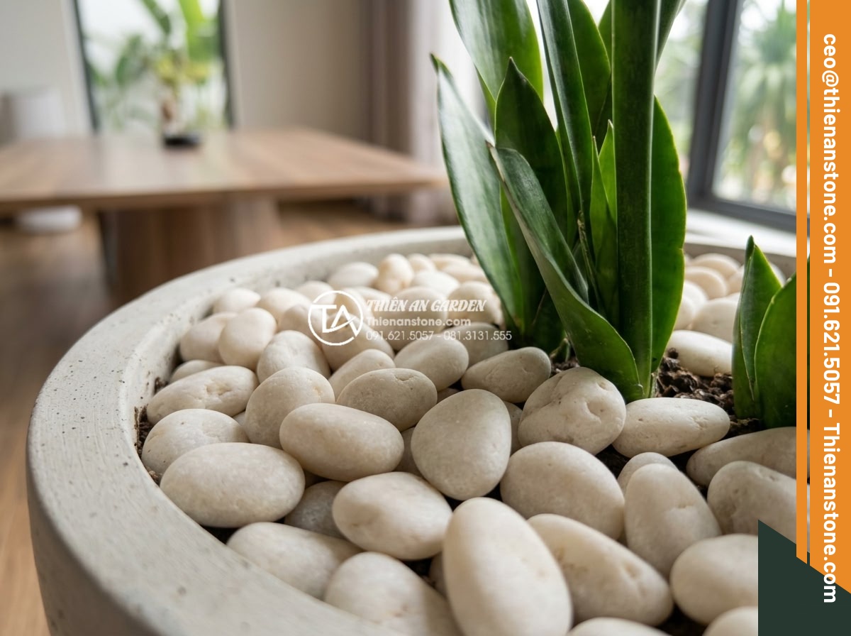 Sỏi Trang Trí Chậu Cây Cảnh: Công Dụng Và Cách Rải Đẹp - Close-up view of natural decorative pebbles in various colors and sizes arranged