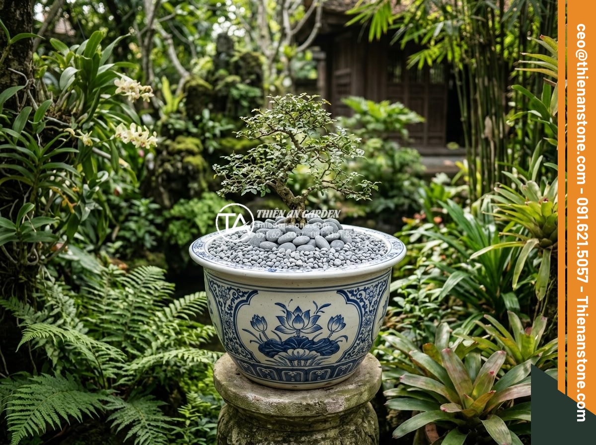 Sỏi Trang Trí Chậu Cây Cảnh: Công Dụng Và Cách Rải Đẹp - Hình 2 Sỏi Trang Trí Chậu Cây Cảnh: Công Dụng Và Cách Rải Đẹp - Wide angle shot of a beautifully decorated plant pot with layered decorative gra