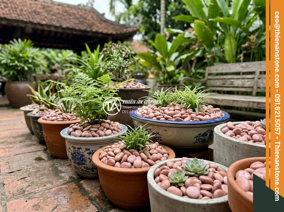 Sỏi Trang Trí Chậu Cây Cảnh: Công Dụng Và Cách Rải Đẹp - Hình 7 Sỏi Trang Trí Chậu Cây Cảnh: Công Dụng Và Cách Rải Đẹp - Variety of popular decorative gravel types including river pebbles and colored s