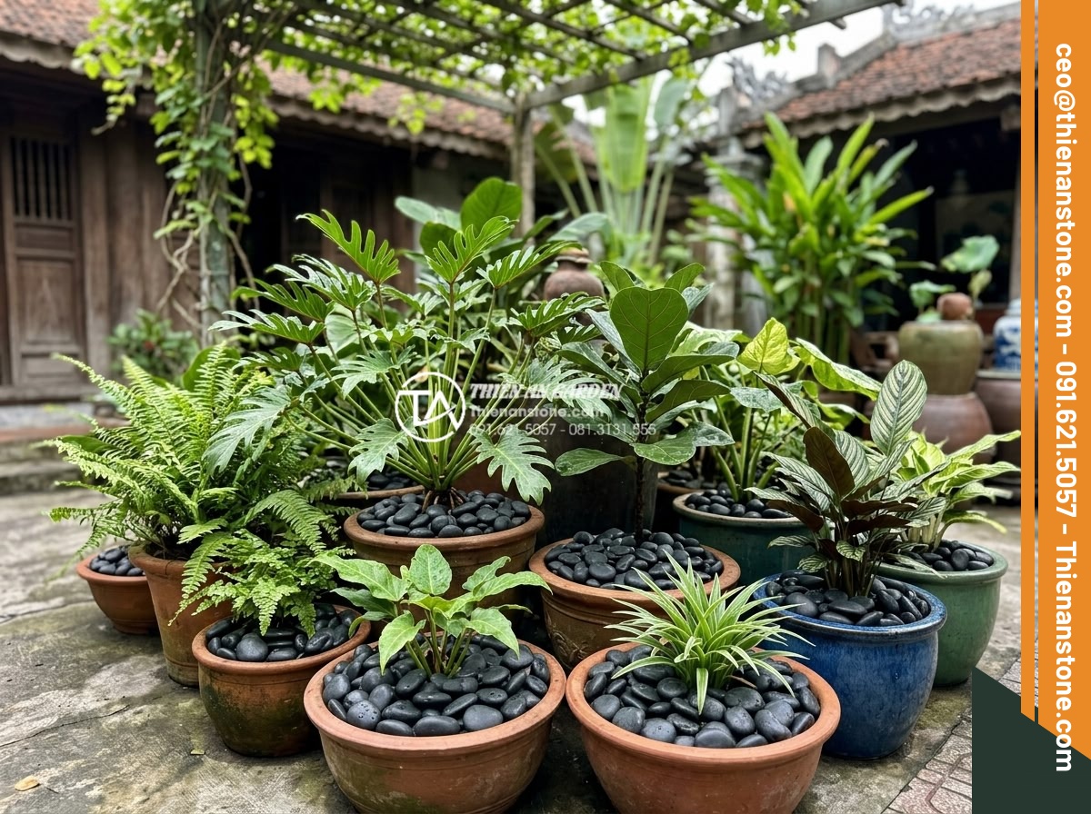 Sỏi Trang Trí Chậu Cây Cảnh: Công Dụng Và Cách Rải Đẹp - Hình 8 Sỏi Trang Trí Chậu Cây Cảnh: Công Dụng Và Cách Rải Đẹp - Selection of polished granite and natural river stones used as decorative mulch