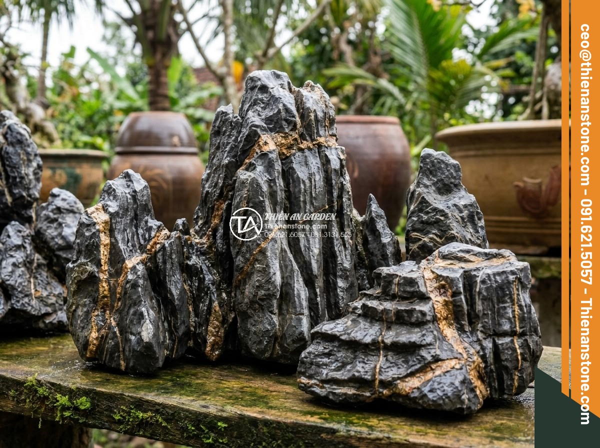 Top Đá San Hô & Đá Sống Làm Hồ Cá Biển & Hồ Thủy Sinh - Hình 10 Top Đá San Hô & Đá Sống Làm Hồ Cá Biển & Hồ Thủy Sinh - Premium selection of coral stones arranged to showcase variety and quality for m