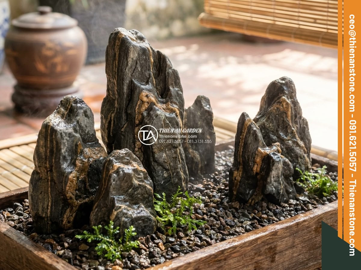 Top Đá San Hô & Đá Sống Làm Hồ Cá Biển & Hồ Thủy Sinh - Hình 12 Top Đá San Hô & Đá Sống Làm Hồ Cá Biển & Hồ Thủy Sinh - Expert tips visual for choosing high quality live rocks and coral stones for saf